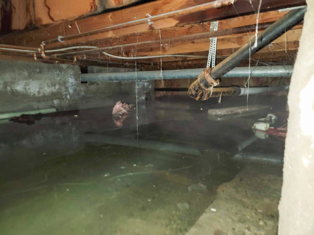 Best Commercial water damage restoration  in Slocom, AL