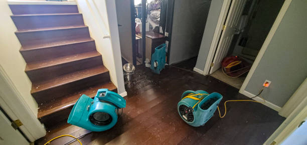 Carpet water damage restoration in AL