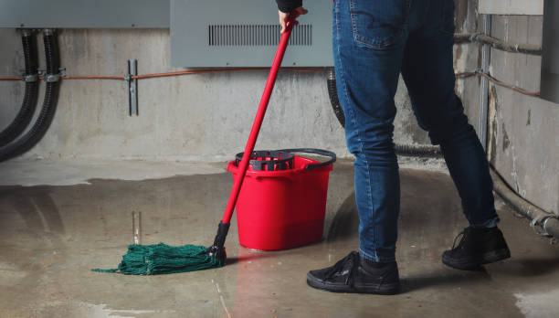 Best Sewage cleanup and water damage restoration  in Slocom, AL