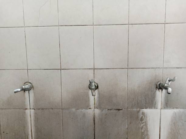 Water damage restoration insurance claims in AL