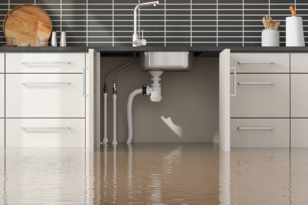 Best Flooded house restoration  in Slocom, AL