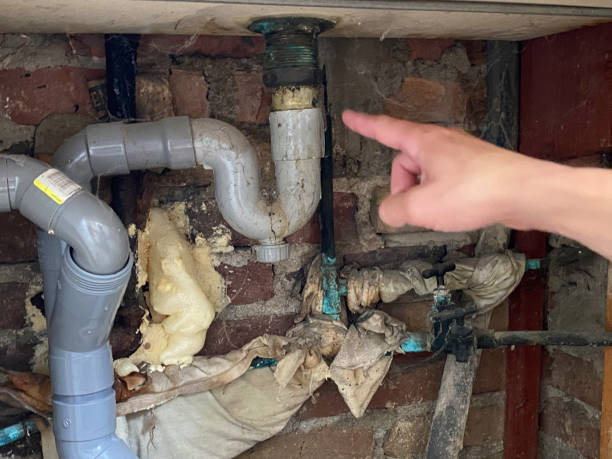 Best Water damage restoration near me  in Slocom, AL